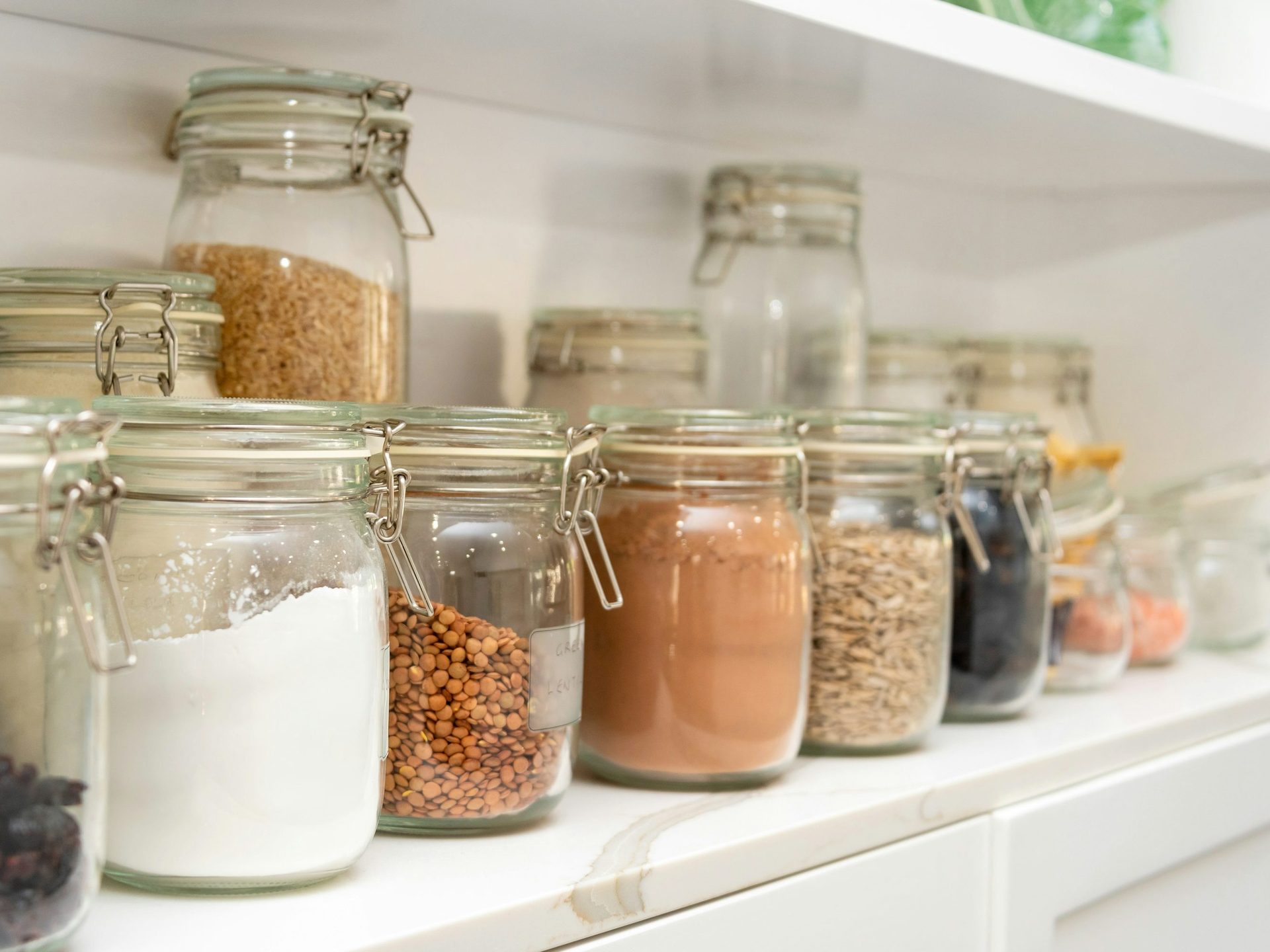 Organization